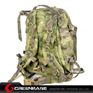 Picture of TMC1907 MOLLE Style A3 Day Pack  GB10154 